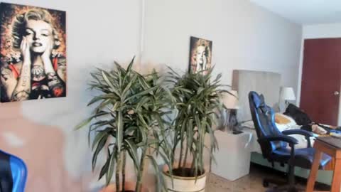 kai_storn online show from April 29, 2026, 5:30 pm