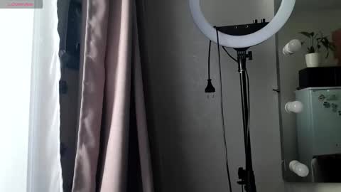 Snapshot of kaifik chatting on March 3, 2026, 3:56 am kaifik online show from March 3, 2026, 3:56 am