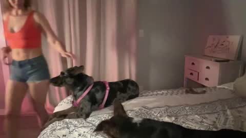 Snapshot of kaileeshy chatting on February 12, 2025, 4:54 am Kailee Smile online show from February 12, 2025, 4:54 am