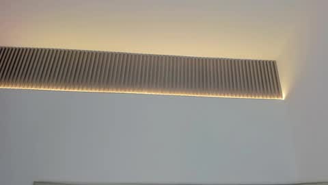 Carolina   online show from November 19, 2025, 12:05 pm