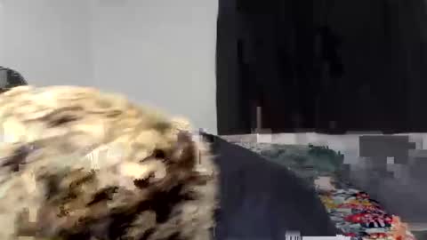 Snapshot of kammy_cami chatting on April 9, 2026, 12:54 am kammy y camila online show from April 9, 2026, 12:54 am