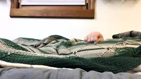 Snapshot of kansas_mastutbater chatting on October 24, 2025, 2:30 am kansas_mastutbater online show from October 24, 2025, 2:30 am