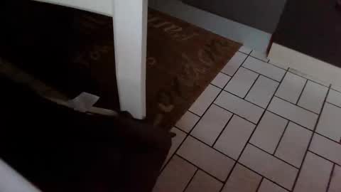 Kev online show from October 31, 2025, 7:42 am