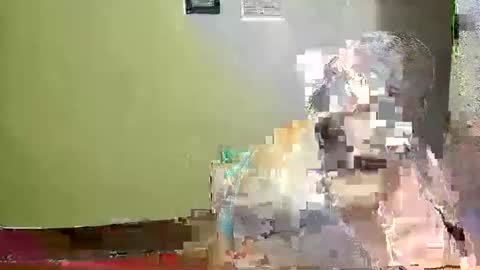 Karol online show from May 3, 2026, 2:28 am