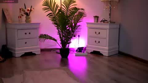 Kassidy online show from February 11, 2026, 11:04 am