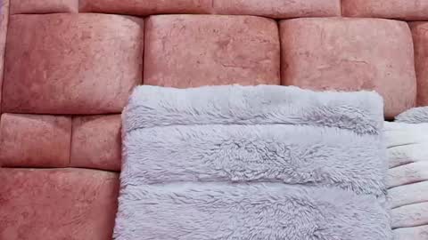 Kate Froz online show from March 10, 2025, 11:32 am