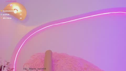 Katy  IGPeach kat666 online show from December 21, 2024, 4:25 pm