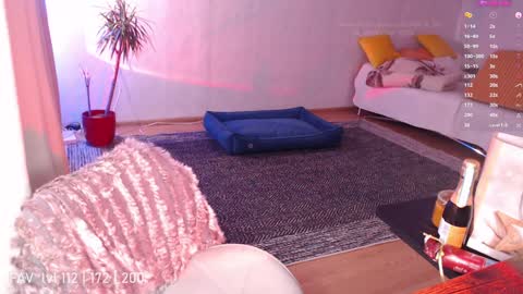 pvt open online show from December 25, 2024, 3:18 am