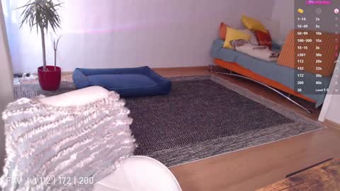 pvt open online show from February 8, 2025, 11:01 am