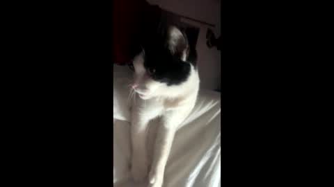 Snapshot of kay_la chatting on October 4, 2025, 10:13 am kay_la online show from October 4, 2025, 10:13 am