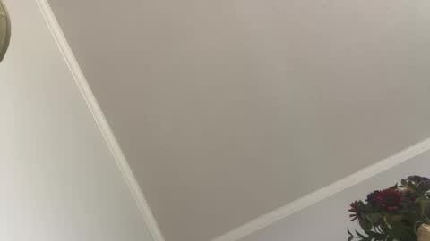 kcdad0001 online show from February 3, 2025, 3:59 pm