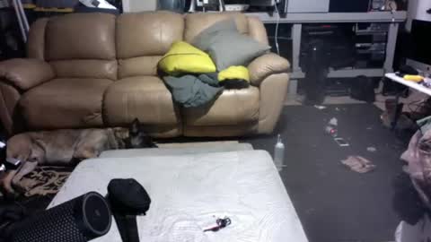 Dexter online show from July 14, 2026, 9:25 am
