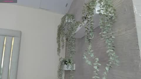 keirahartz online show from April 30, 2026, 11:38 am