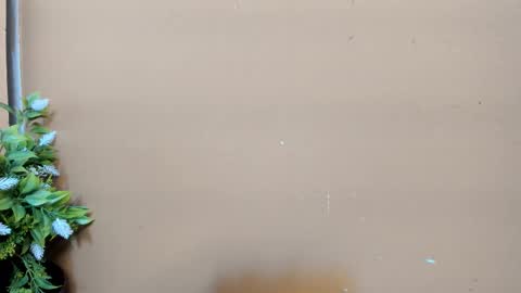 keisy_sanchez online show from February 1, 2026, 11:09 am