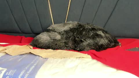 Snapshot of kendall_x0 chatting on April 11, 2026, 7:45 am kendall_x0 online show from April 11, 2026, 7:45 am