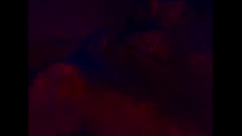 T online show from November 19, 2025, 9:31 am