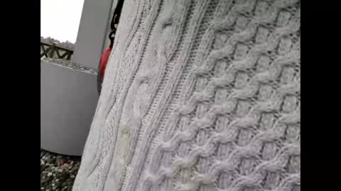 kenhiking online show from February 19, 2026, 5:25 am