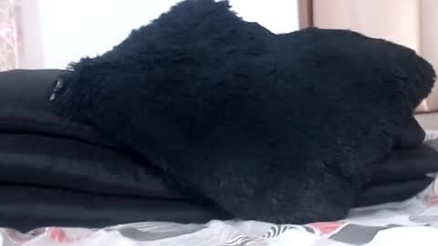 CHOQUITO online show from January 3, 2025, 11:23 pm