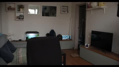 Snapshot of kevin_park chatting on February 17, 2025, 12:05 pm Kev online show from February 17, 2025, 12:05 pm