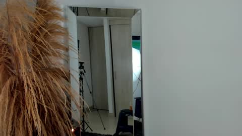 sebastian online show from December 2, 2024, 2:09 am