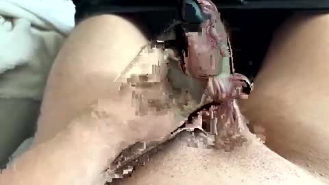 K636284 online show from March 23, 2026, 12:20 pm