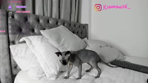 INSTAGRAM Kiannaweb  online show from February 28, 2025, 3:48 am