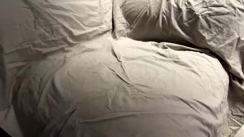 kiiisssa online show from October 23, 2025, 7:12 pm