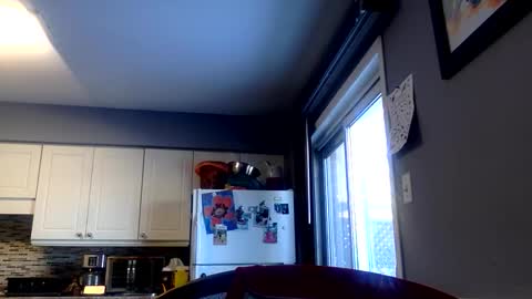 killbloodclotbill online show from February 1, 2026, 6:06 pm