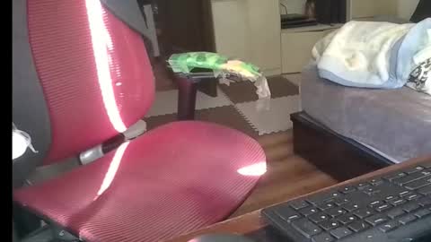 kinchan069 online show from January 8, 2026, 12:57 am