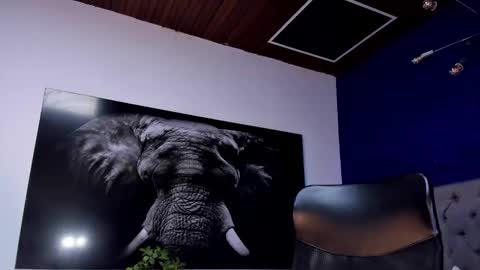 Angel Falconer online show from January 15, 2026, 2:16 am