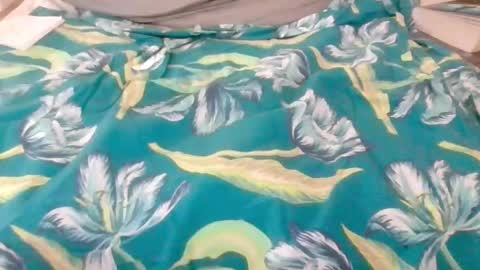 Snapshot of kingindisguise69 chatting on February 18, 2025, 11:19 pm kingindisguise69 online show from February 18, 2025, 11:19 pm