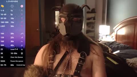 kinkywolf87 online show from December 20, 2024, 7:12 am
