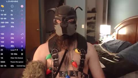 kinkywolf87 online show from December 24, 2024, 8:05 pm