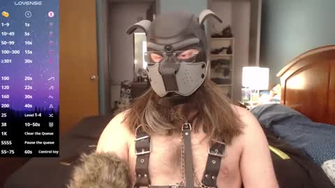 kinkywolf87 online show from January 17, 2025, 7:05 pm