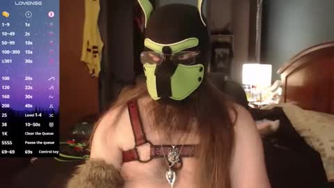 Snapshot of kinkywolf87 chatting on April 2, 2026, 3:09 pm kinkywolf87 online show from April 2, 2026, 3:09 pm