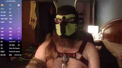 Snapshot of kinkywolf87 chatting on April 3, 2026, 4:21 am kinkywolf87 online show from April 3, 2026, 4:21 am