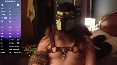 Snapshot of kinkywolf87 chatting on April 9, 2026, 7:03 am kinkywolf87 online show from April 9, 2026, 7:03 am