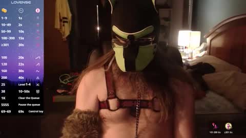 Snapshot of kinkywolf87 chatting on April 26, 2026, 6:33 am kinkywolf87 online show from April 26, 2026, 6:33 am