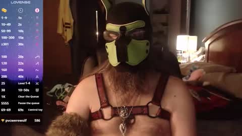Snapshot of kinkywolf87 chatting on May 8, 2026, 12:27 am kinkywolf87 online show from May 8, 2026, 12:27 am