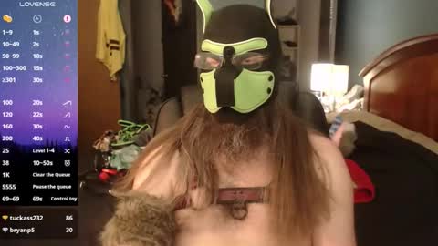 Snapshot of kinkywolf87 chatting on May 20, 2026, 11:00 pm kinkywolf87 online show from May 20, 2026, 11:00 pm