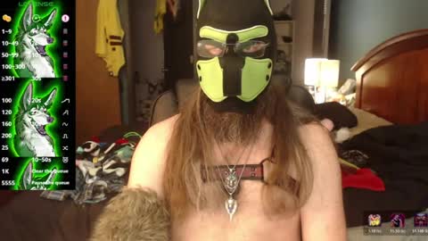 kinkywolf87 online show from June 29, 2026, 7:14 pm