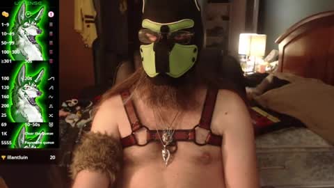 kinkywolf87 online show from July 3, 2026, 12:06 am