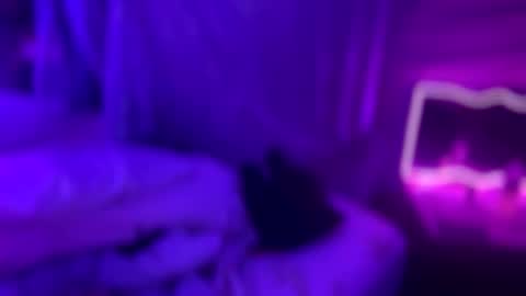 Snapshot of kissahsins chatting on January 9, 2026, 3:09 am Kissah Kreampuff online show from January 9, 2026, 3:09 am