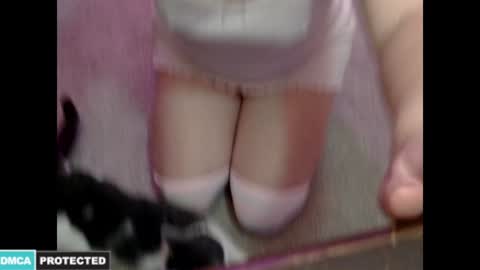 Snapshot of kitten4sale666 chatting on January 16, 2025, 2:09 am Kitty online show from January 16, 2025, 2:09 am