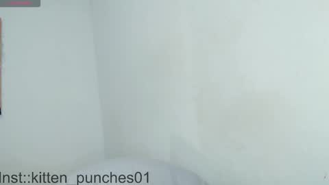 Snapshot of kitten_punches02 chatting on November 1, 2025, 3:08 am kitten_punches02 online show from November 1, 2025, 3:08 am