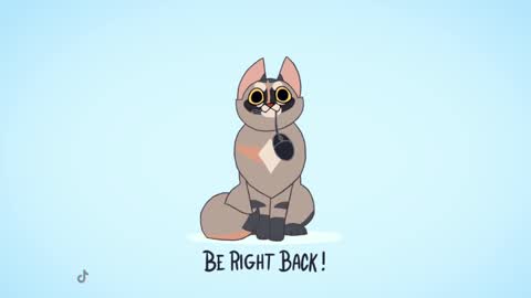 Kitty online show from February 13, 2025, 11:58 pm
