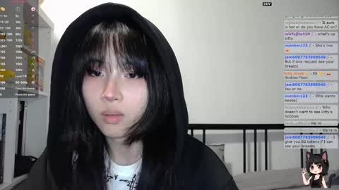 Kitty online show from November 7, 2025, 2:00 am