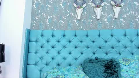 Kitty online show from February 16, 2025, 11:05 pm