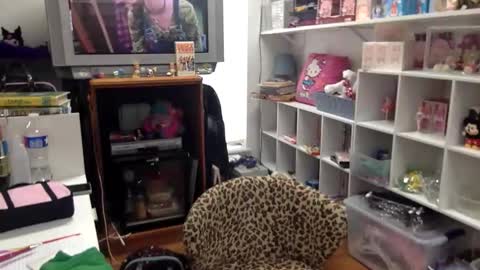 kittykatcoco online show from January 8, 2026, 8:22 pm