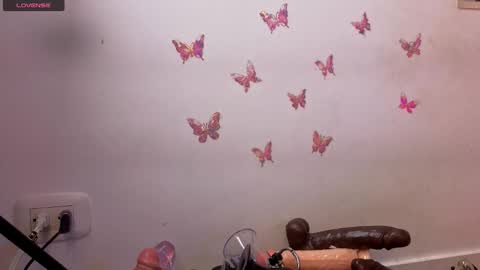 Kitty online show from January 17, 2026, 12:59 am